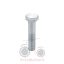 Βίδα παλάγκο Massey Ferguson 165-188-290-690