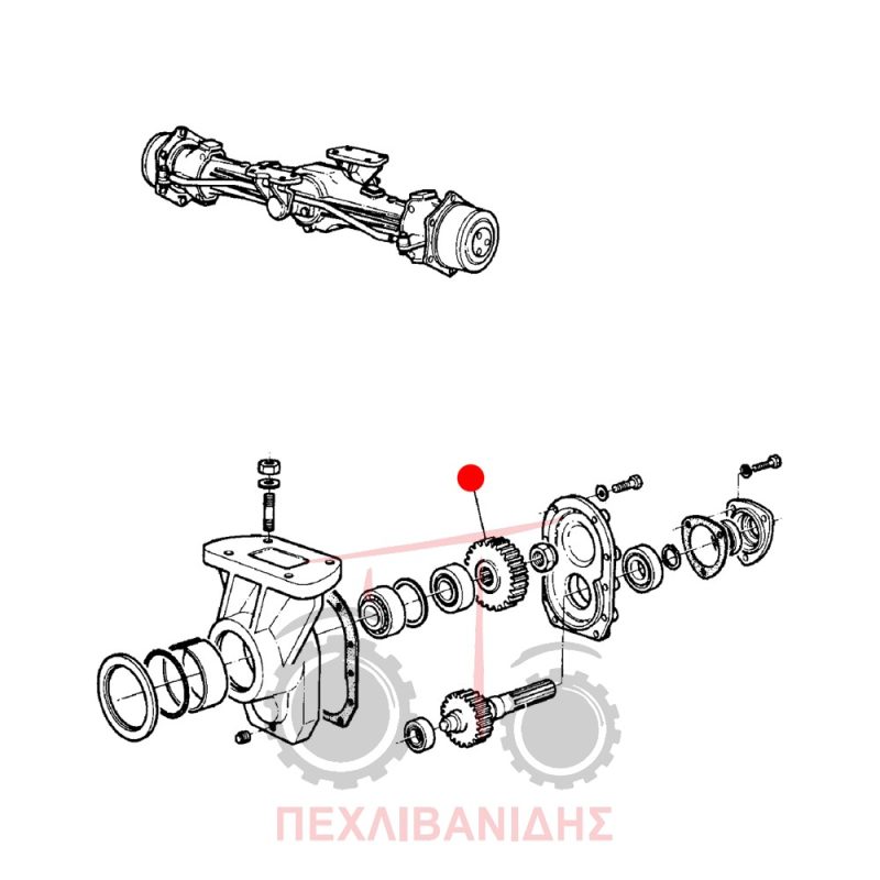 Γρανάζι μπροστά διαφορικού Massey Ferguson 285-290-590-595-690 Γρανάζι μπροστά διαφορικού Massey Ferguson 285-290-590-595-690