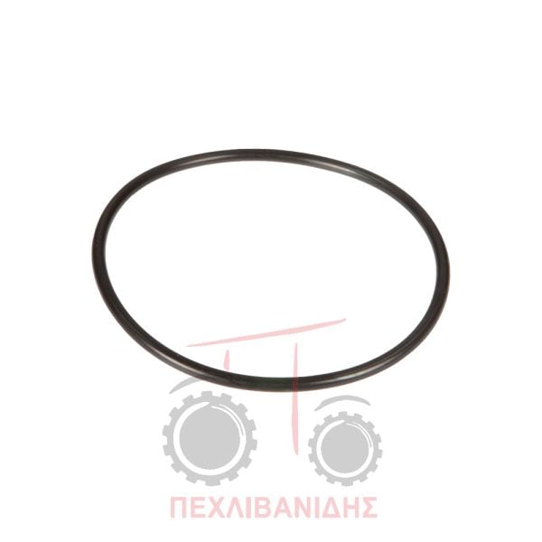 Όρινγκ μπροστά πείρου ανάρτησης Massey Ferguson 8400-8600