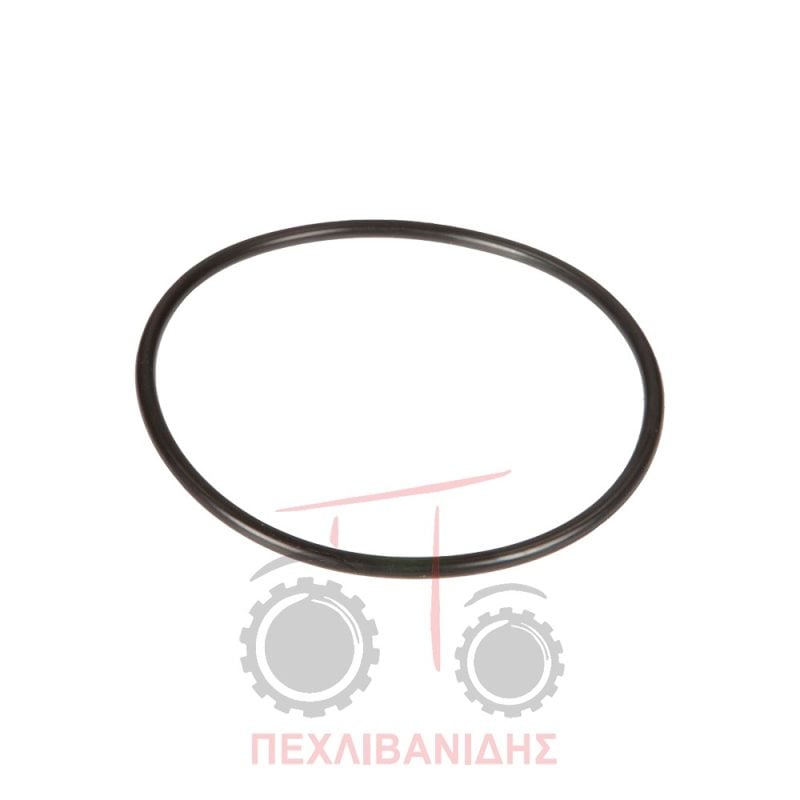 Όρινγκ μπροστά πείρου ανάρτησης Massey Ferguson 8400-8600 Όρινγκ μπροστά πείρου ανάρτησης Massey Ferguson 8400-8600