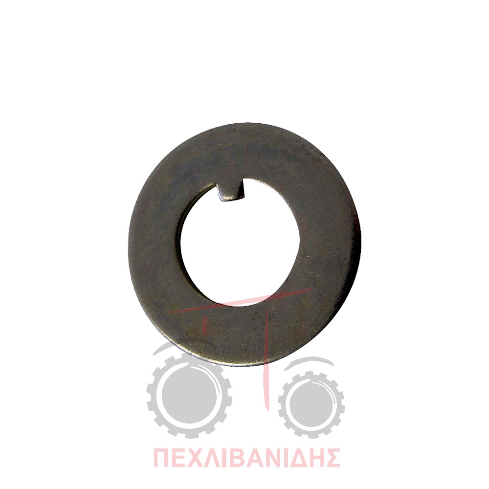 Ροδέλα ακραξονίου μπροστά τροχού Massey Ferguson 135-240