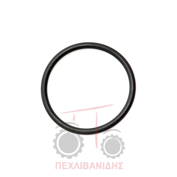 Όρινγκ άξονας pto έξω Massey Ferguson 390-4270