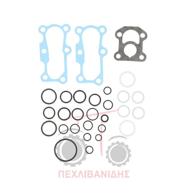 Σετ όρινγκ αντλίας υδραυλικού Massey Ferguson 188-240-290-390-4200-4300-590