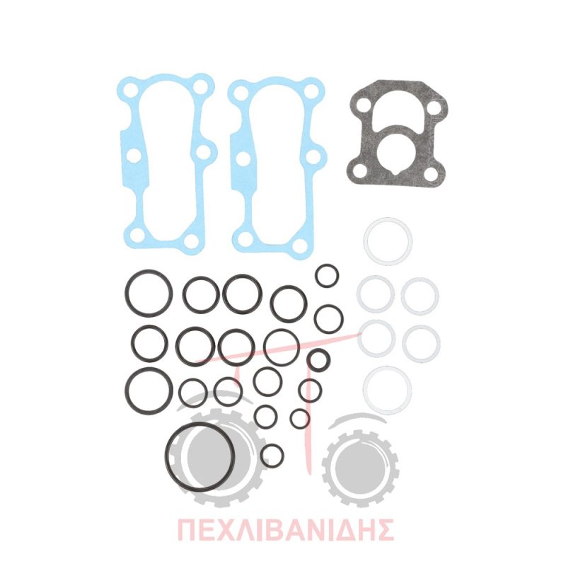 Σετ όρινγκ αντλίας υδραυλικού Massey Ferguson 188-240-290-390-4200-4300-590