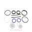 Σετ μπουκάλας τιμονιού Massey Ferguson 397-1014-3080