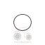 Όρινγκ μπουκάλας υδραυλικού Massey Ferguson 461-491-543-596-9240