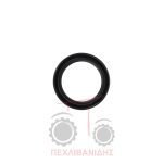 Τσιμούχα μπριζντιρέκ κίνησης 55x72x10 Massey Ferguson 174-294-394-690 Τσιμούχα μπριζντιρέκ κίνησης 55x72x10 Massey Ferguson 174-294-394-690