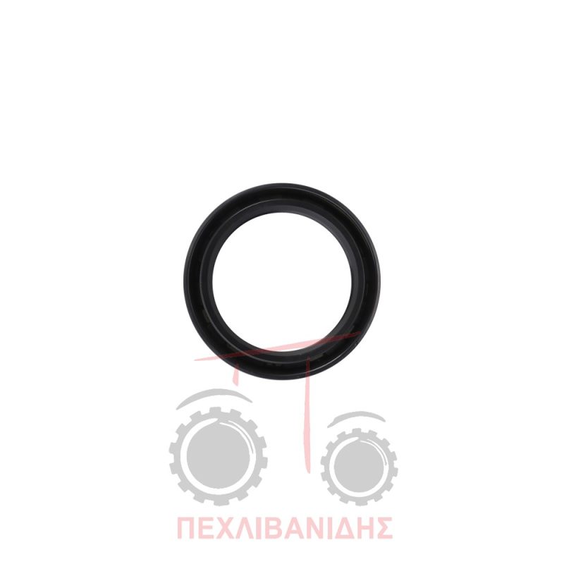 Τσιμούχα μπριζντιρέκ κίνησης 55x72x10 Massey Ferguson 174-294-394-690