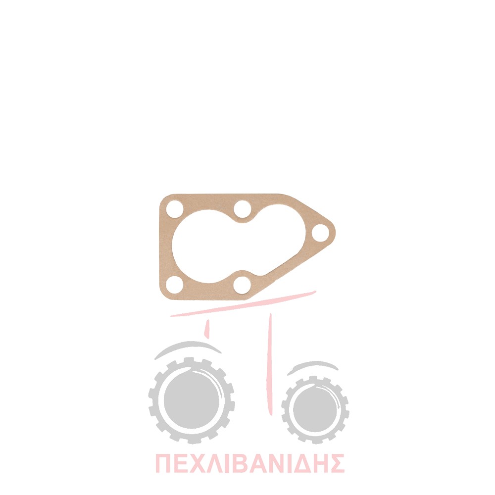 Φλάντζα αντλίας υδραυλικού Massey Ferguson 1080-1085-285-595