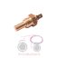 Φούσκα θερμοκρασίας νερού Massey Ferguson 290-390-590-595-4200-3080-3655-6100-8130