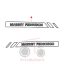 Δεξιά ταινία αυτοκόλλητο Massey Ferguson 3625-3645-3655