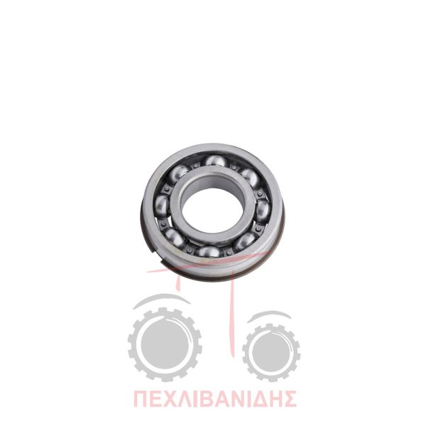 Ρουλεμάν σασμάν με ασφάλεια 45x100x25 Landini 8880-Atlas-Frutteti-Powerfarm-Rex-Vision