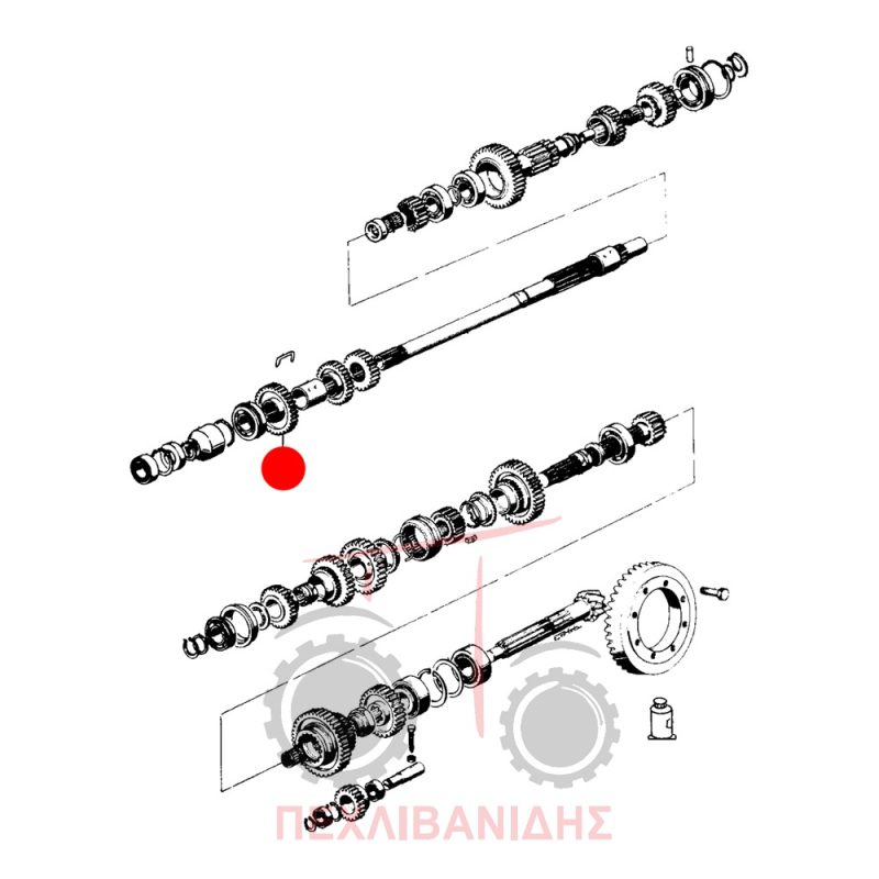 Γρανάζι πρώτο σασμάν Landini 5530-6500-Frutteti