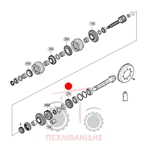 Γρανάζι πηνίου Landini 8880-Blizzard-Rex-Vision