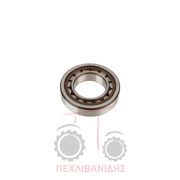 Ρουλεμάν σασμάν όπισθεν 25x52x15 Landini 8880