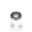 Ρουλεμάν κωνικό πίσω μειωτήρα 50x110x29.25 Landini 8880-Blizzard-12500-Trekker
