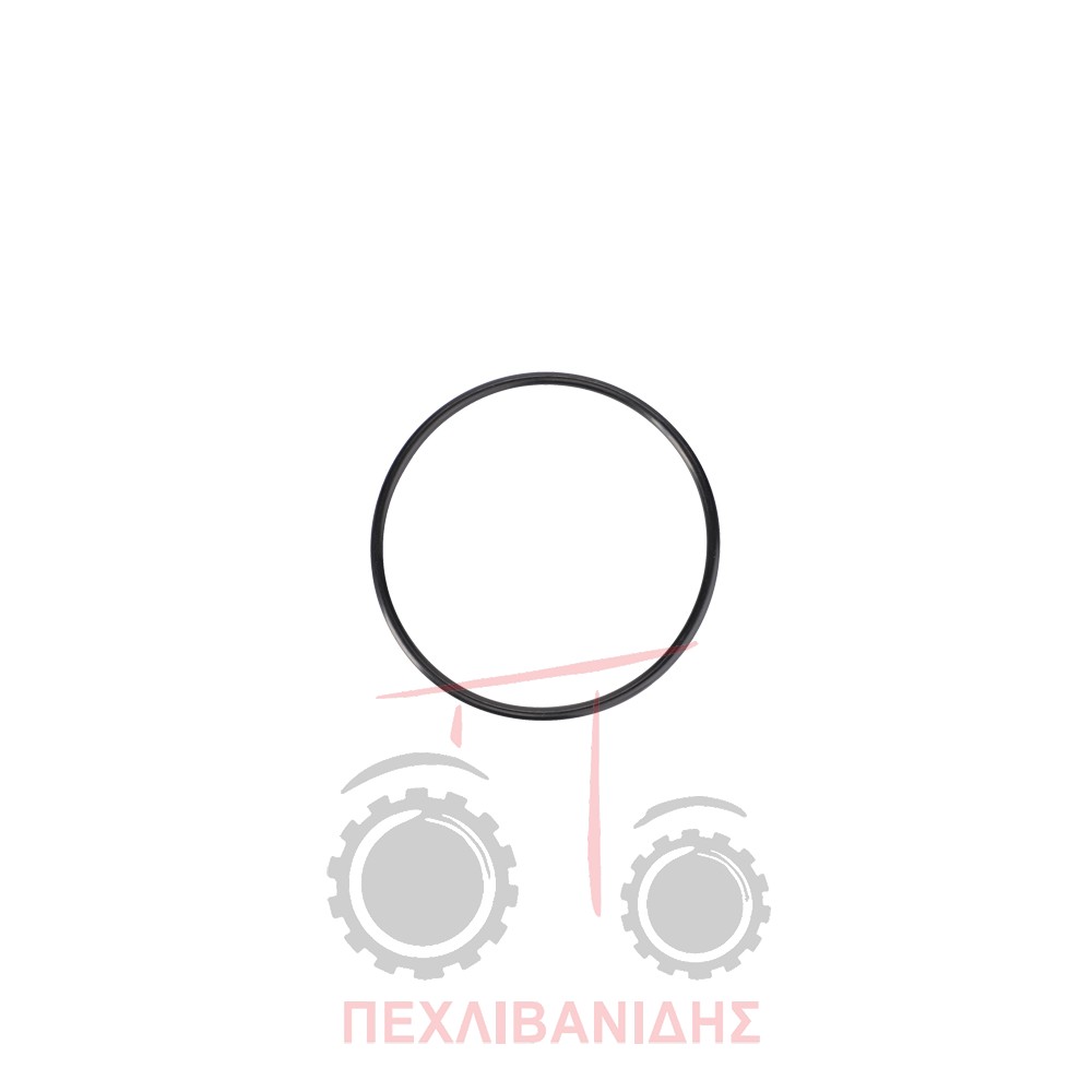 Όρινγκ πίσω ημιαξονίου 78.97x3.53 Landini Trekker 100