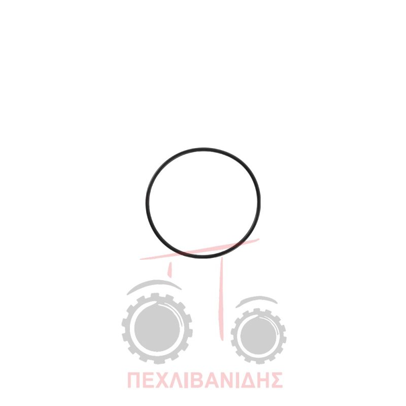Όρινγκ άξονα PTO έξω 98.02x3.53 Landini 8880-Advantage-Frutteti-Rex-Vigneti