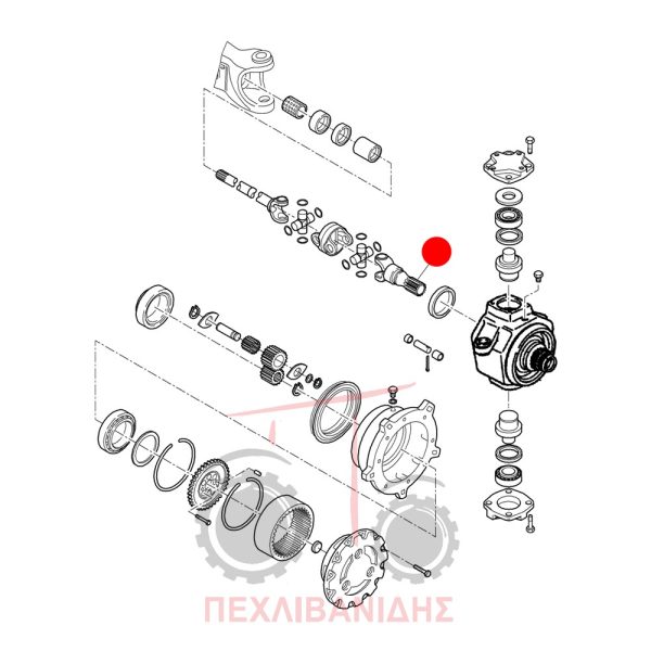 Μπροστά ημιαξόνιο διαφορικού Landini Frutteti 5530-6560