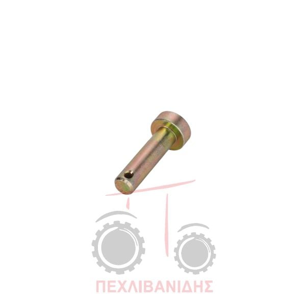 Πείρος τερματικού μουαγιέ Landini 8880-Frutteti-16500