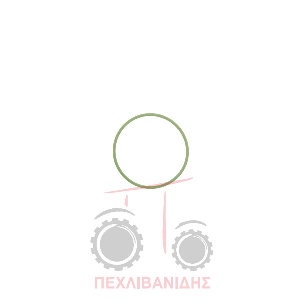 Όρινγκ αντλίας υδραυλικού 58x2.62 Landini Advantage-Frutteti-Legend-Rex-Vigneti