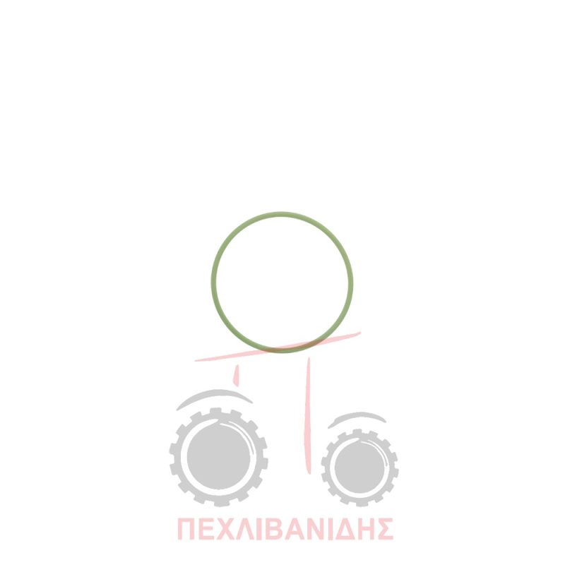 Όρινγκ αντλίας υδραυλικού 58x2.62 Landini Advantage-Frutteti-Legend-Rex-Vigneti