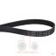 Iμάντας δυναμού 6PK-1844 Massey Ferguson 6600-7600
