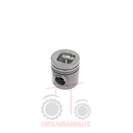 Πιστόνι κινητήρα 100mm 1004T-1006T