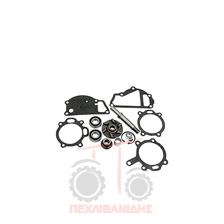 Σετ επισκευής υδραντλίας Perkins 1004 Σετ επισκευής υδραντλίας Perkins 1004