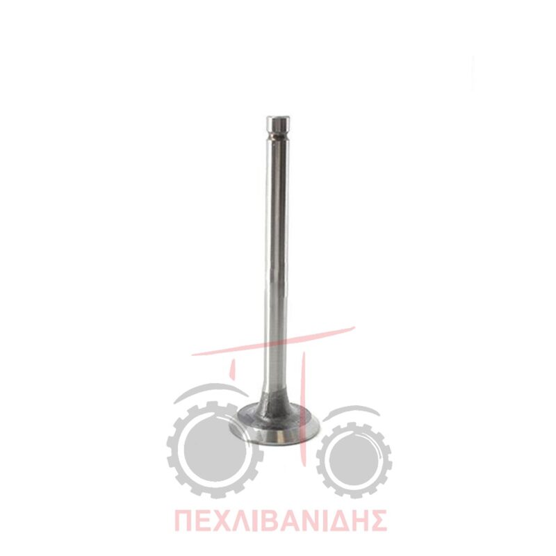 Βαλβίδα εισαγωγής 1080-595 Βαλβίδα εισαγωγής 1080-595