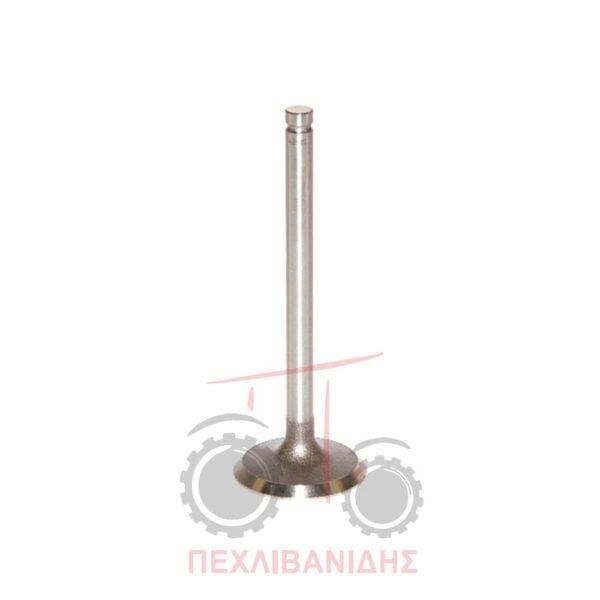 Βαλβίδα εισαγωγής 1080-595