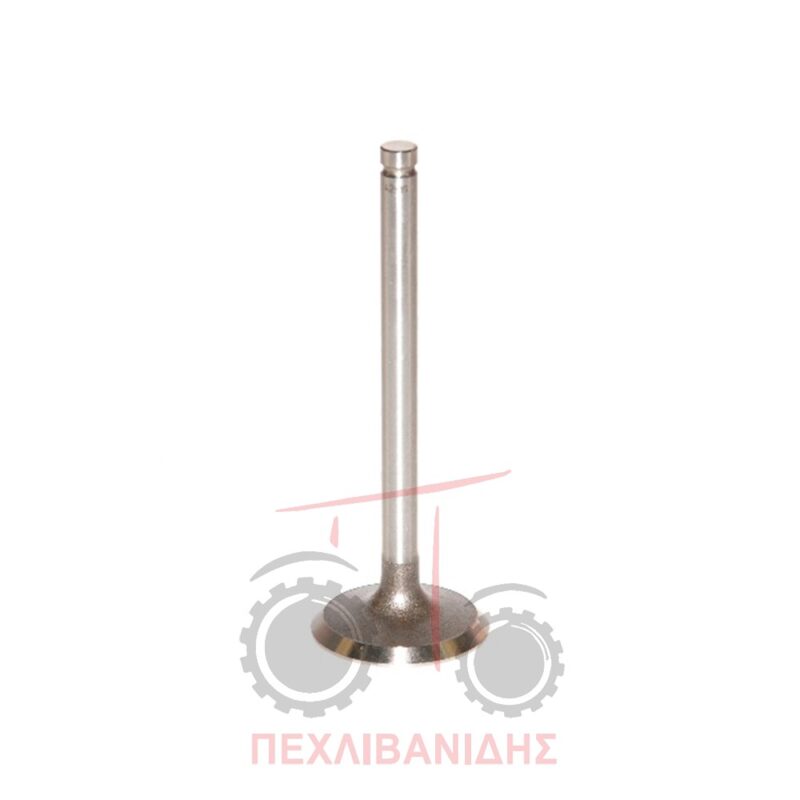 Βαλβίδα εισαγωγής 1080-595