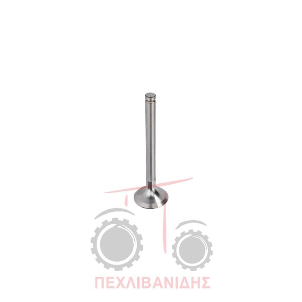 Βαλβίδα εξαγωγής μηχανής 36.60x10.22x123.5/45° Massey Ferguson 3060-375-390-398