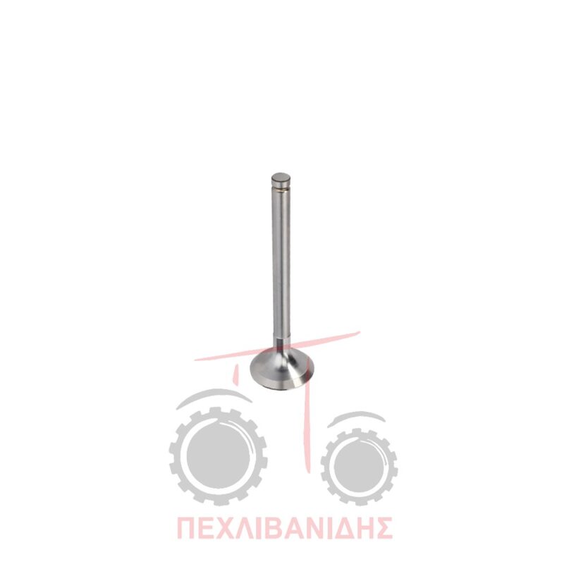 Βαλβίδα εξαγωγής μηχανής 36.60x10.22x123.5/45° Massey Ferguson 3060-375-390-398 Βαλβίδα εξαγωγής μηχανής 36.60x10.22x123.5/45° Massey Ferguson 3060-375-390-398