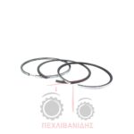 Ελατήρια MAHLE κινητήρα Perkins 1004T-1006T