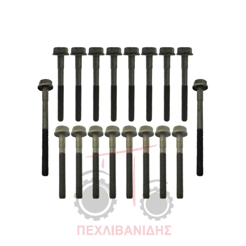 Σετ βίδες κεφαλής Massey Ferguson Σετ βίδες κεφαλής Massey Ferguson