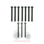 Σετ βίδες κεφαλής Massey Ferguson Σετ βίδες κεφαλής Massey Ferguson