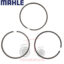 Ελατήριο μηχανής Mahle 105 Massey Ferguson