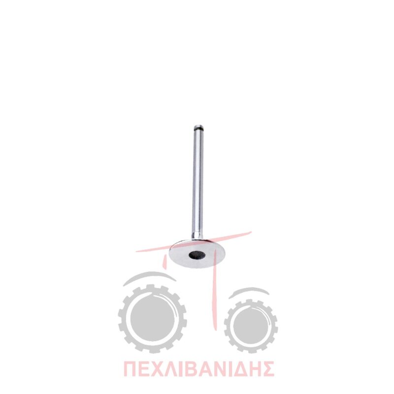 Βαλβίδα εισαγωγής μηχανής τούρμπο 39.00x8.00x114.0/30° Massey Ferguson