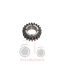 Γρανάζι αντλίας μούλτι Massey Ferguson 1080-595