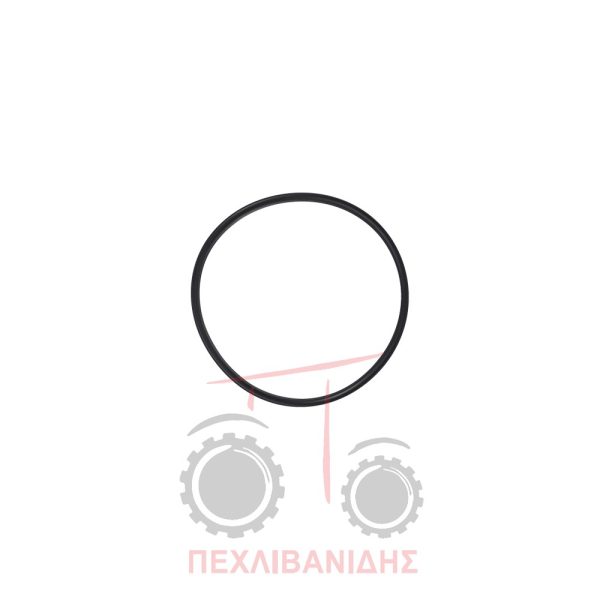 Όρινγκ συμπλέκτη Massey Ferguson 6200-8100