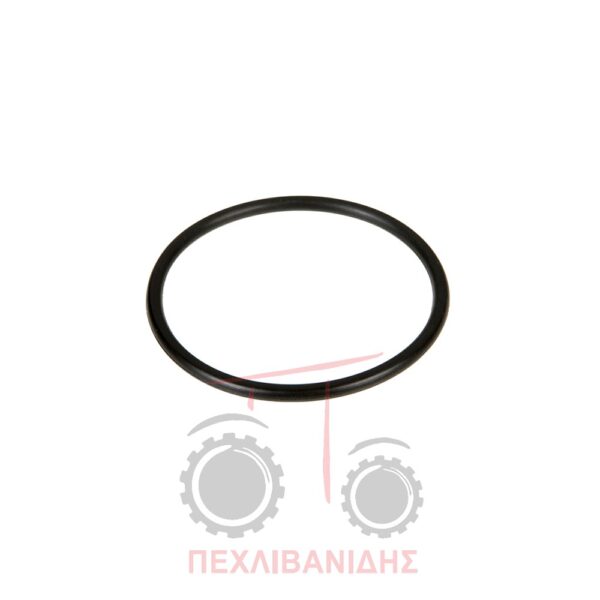 Όρινγκ εμπρός διαφορικού Massey Ferguson 698-1004-590-595