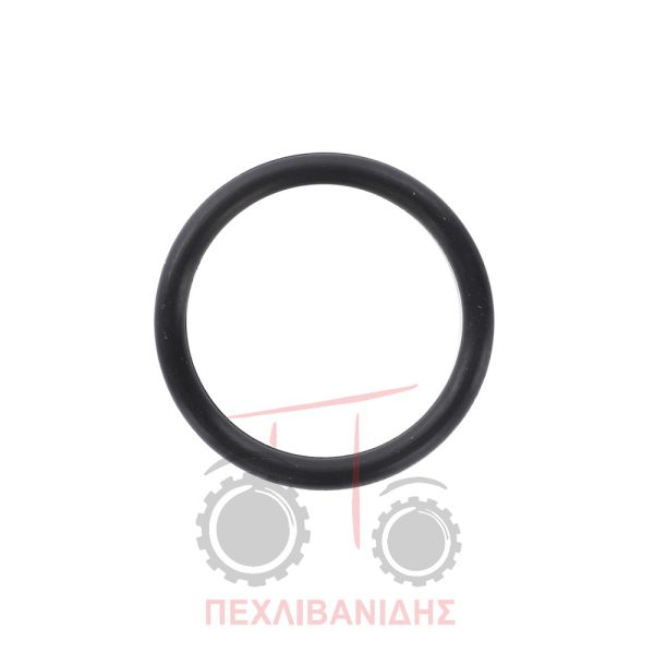 Όρινγκ άξονα χειροφρένου Massey Ferguson 174-194-274-294