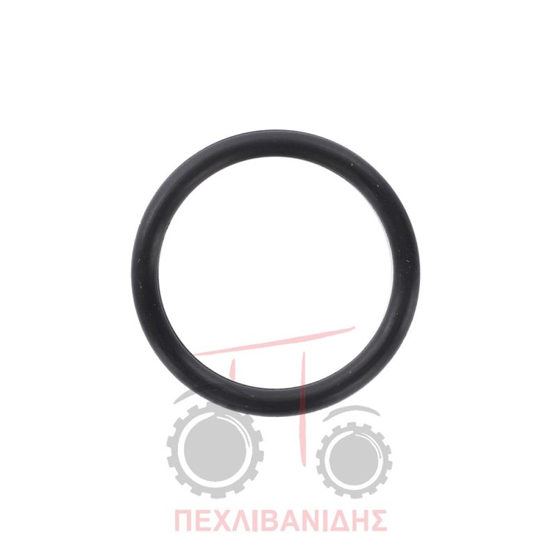 Όρινγκ άξονα χειροφρένου Massey Ferguson 174-194-274-294