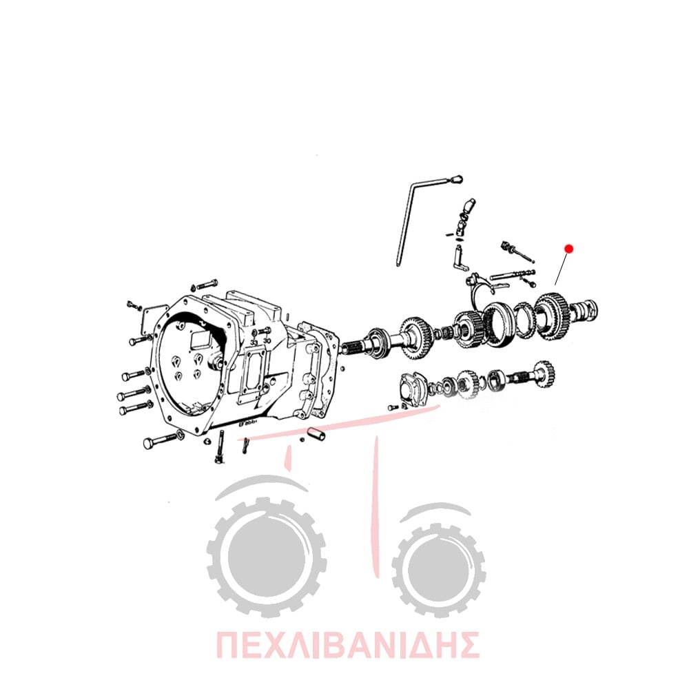 Γρανάζι σασμάν πάνω άξονα Massey Ferguson 1104