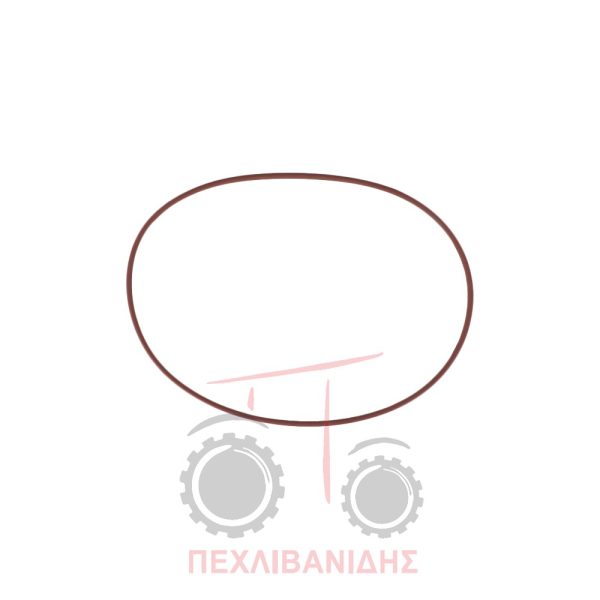 Πίσω μικρό όρινγκ φρένων Massey Ferguson 3300-3400