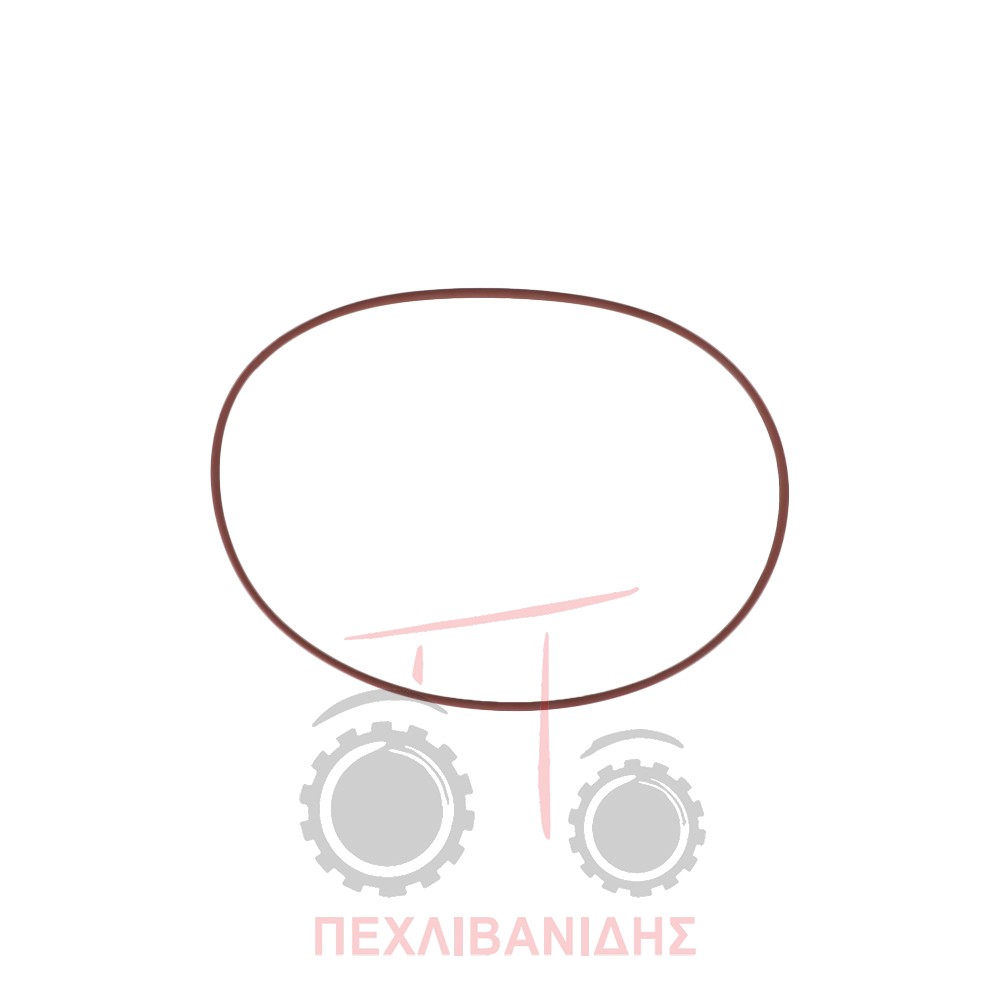 Πίσω μικρό όρινγκ φρένων Massey Ferguson 3300-3400