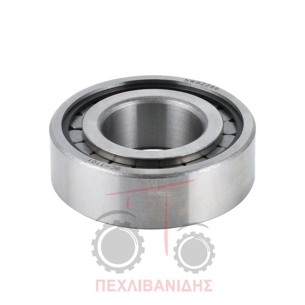 Πίσω Ρουλεμάν πηνίου διαφορικού Massey Ferguson 135-188