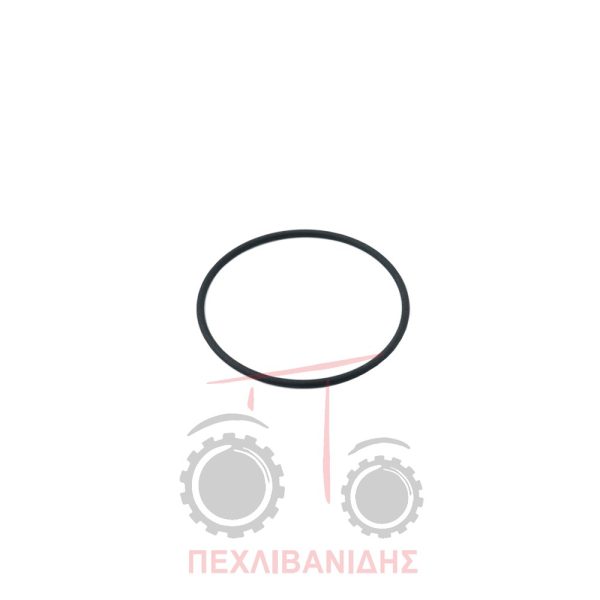 Όρινγκ PTO Massey Ferguson 3080-3125