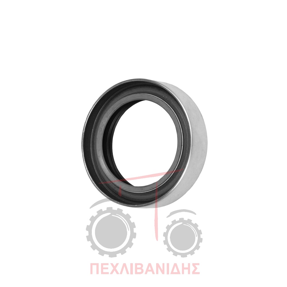 Τσιμούχα μειωτήρα Massey Ferguson 165-177-188-290-590